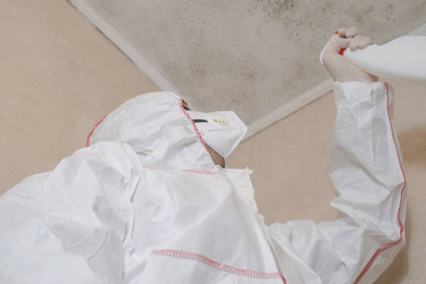 Best Mold Cleaning Services  in Enoch, UT